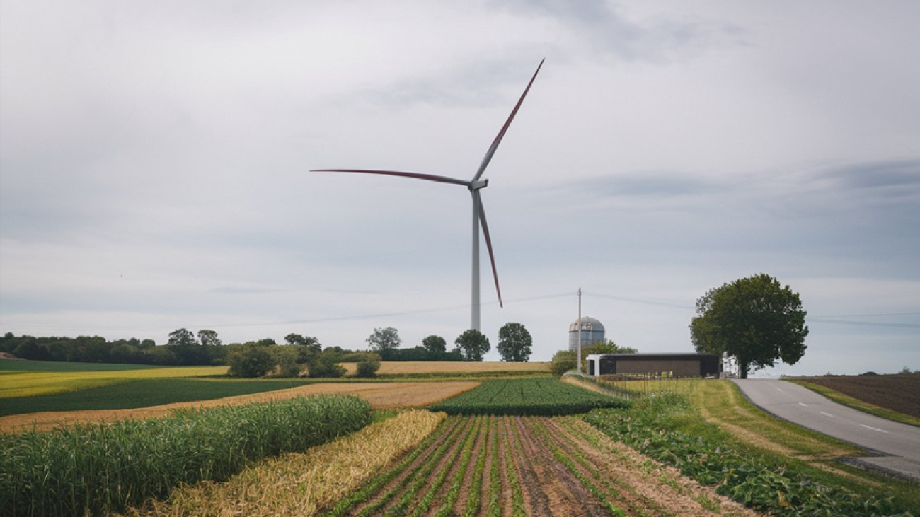 UK Farming’s Net Zero Goal Faces a Critical Crossroads