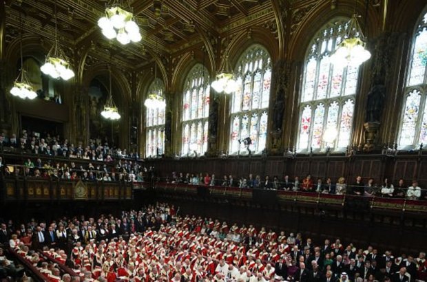 Liberal Democrats Push for Elected Upper Chamber as Government Seeks to End Hereditary Peers