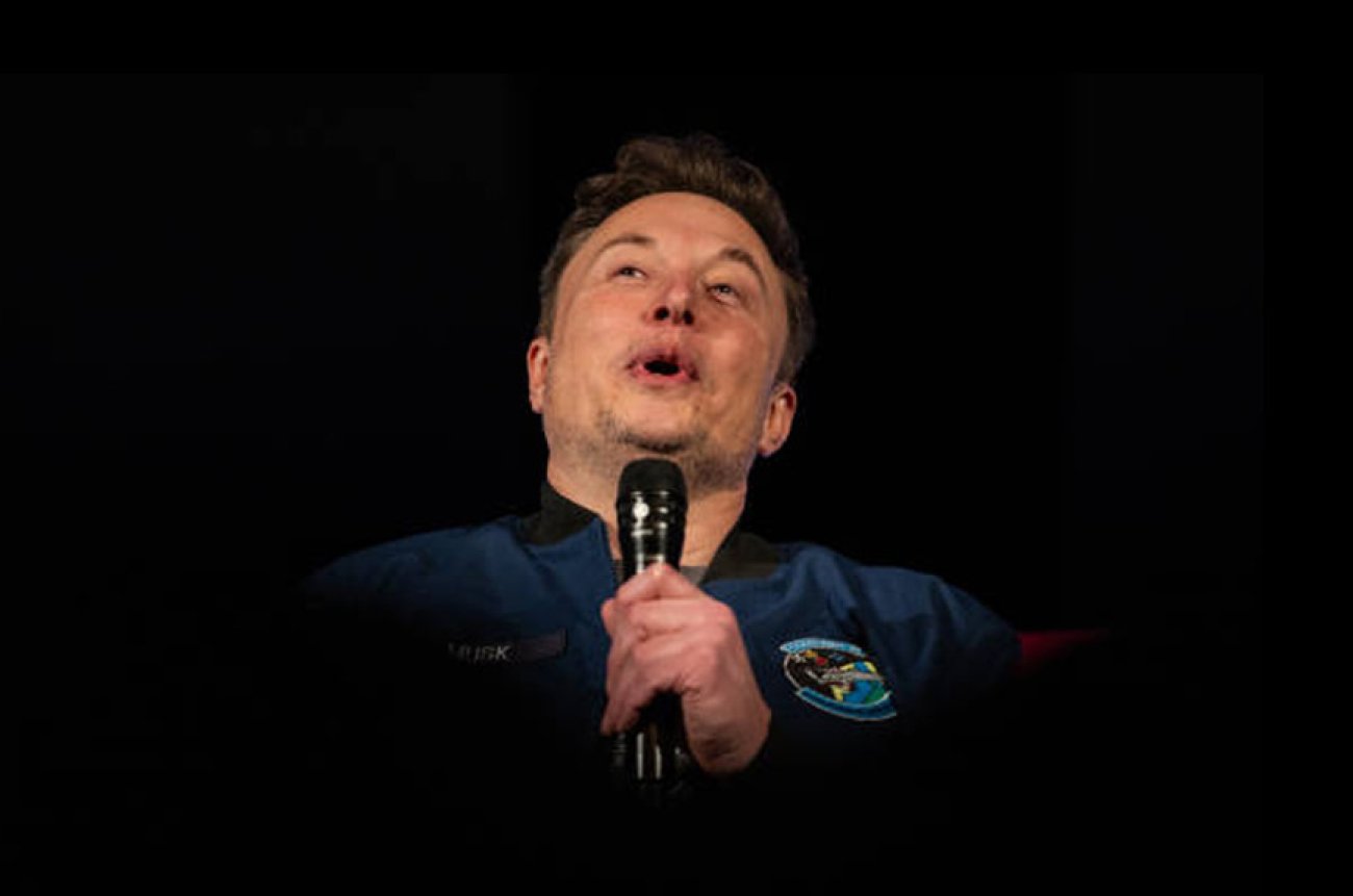 Elon Musk political interference UK Germany survey