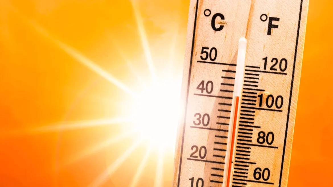 Heatwave alert public health
