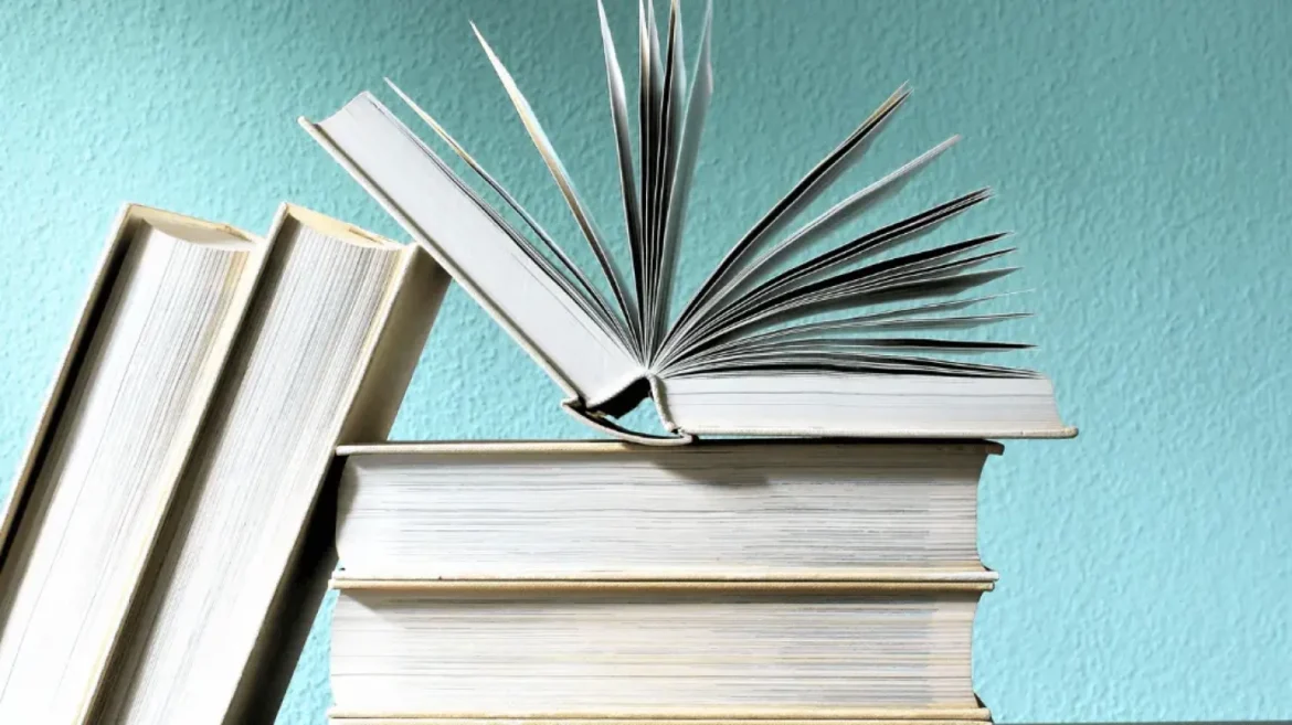 British voters education age