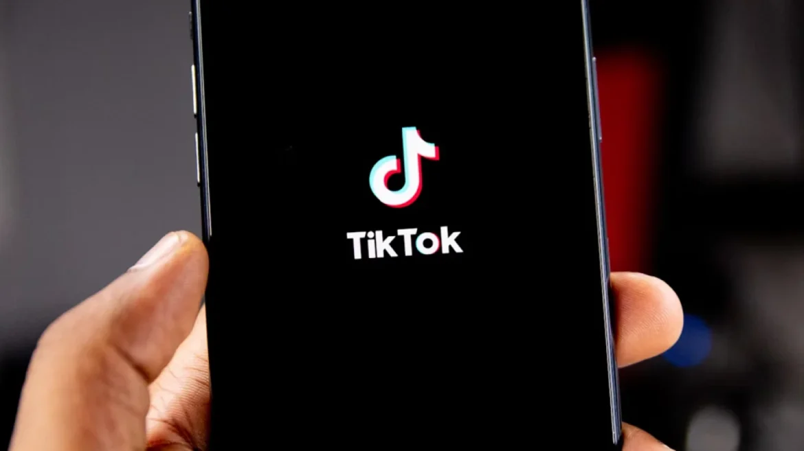 TikTok EU transparency
